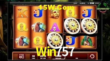 Sistemas de Segurança Win757